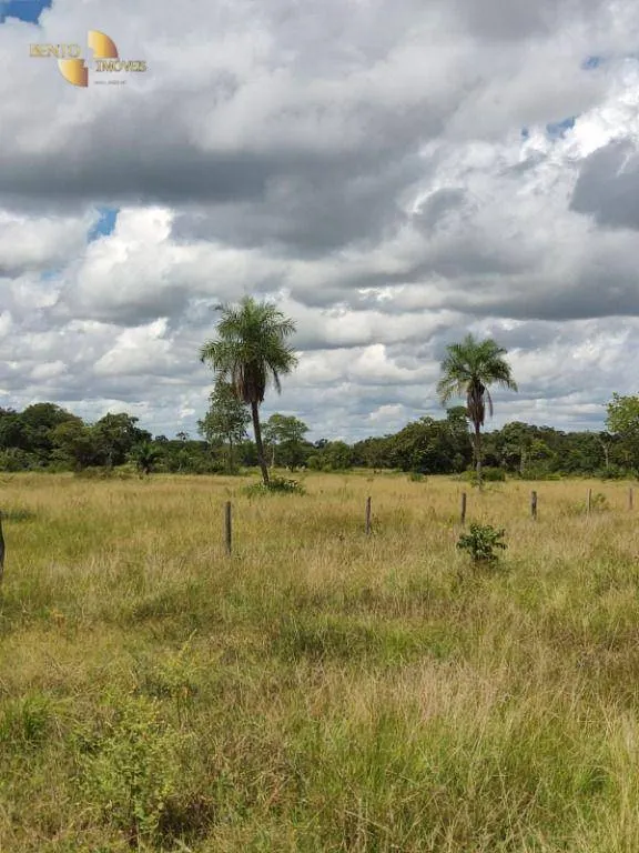 Farm for sale of 914 acres in Poconé, MT, Brazil