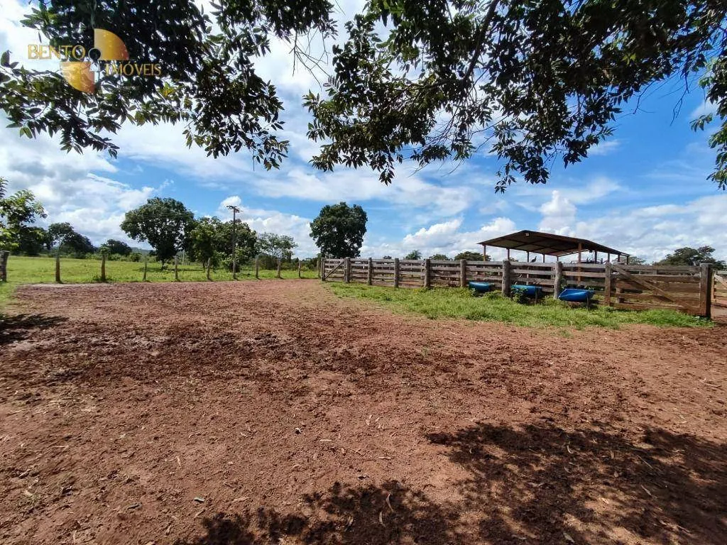 Farm for sale of 914 acres in Poconé, MT, Brazil