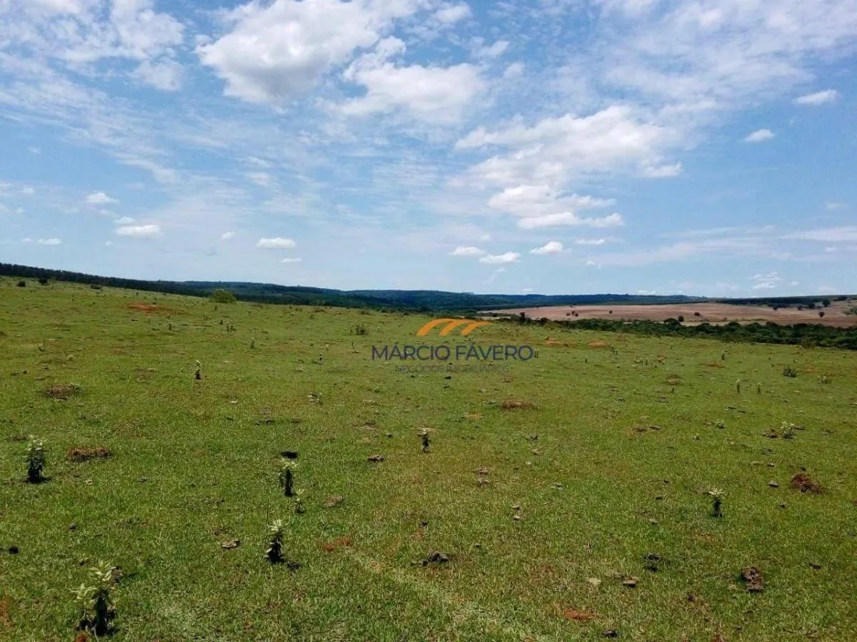 Farm for sale of 1,543 acres in Ubirajara, SP, Brazil