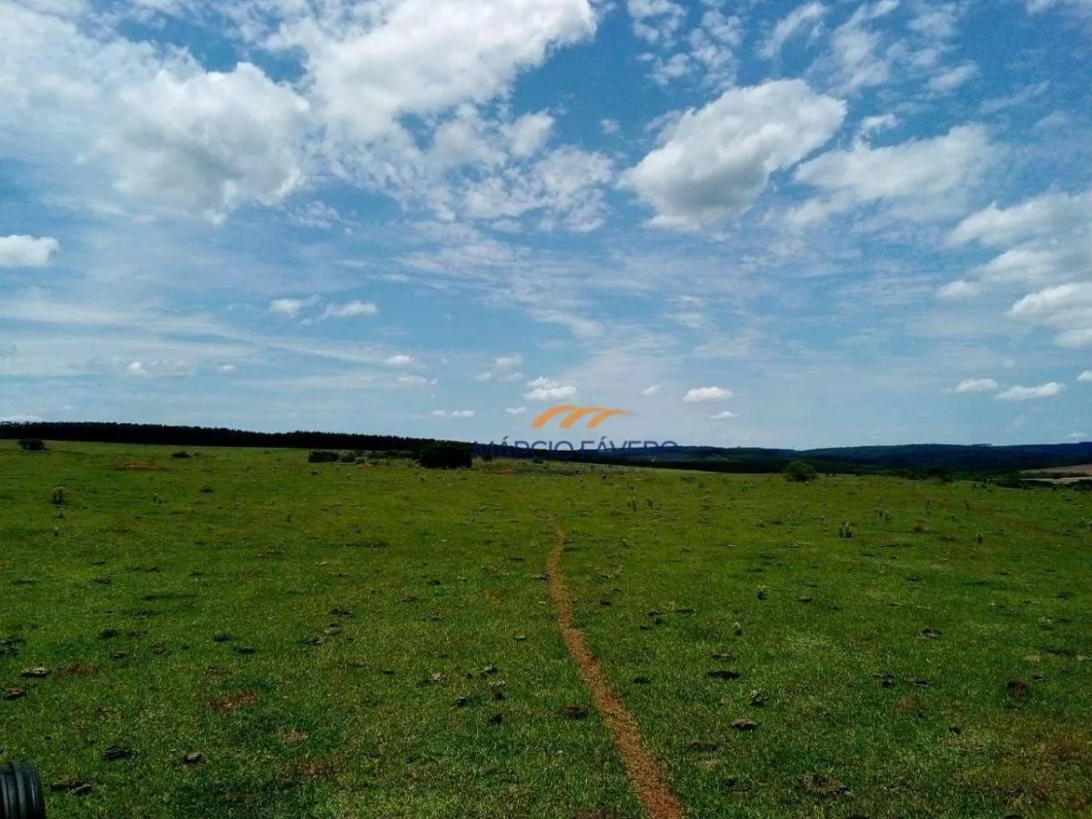 Farm for sale of 1,543 acres in Ubirajara, SP, Brazil