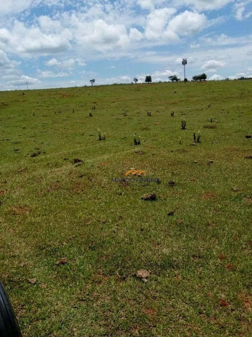 Farm for sale of 1,543 acres in Ubirajara, SP, Brazil