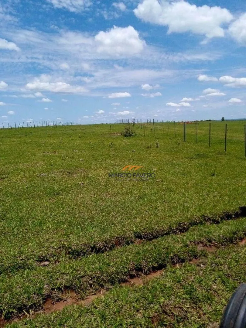 Farm for sale of 1,543 acres in Ubirajara, SP, Brazil