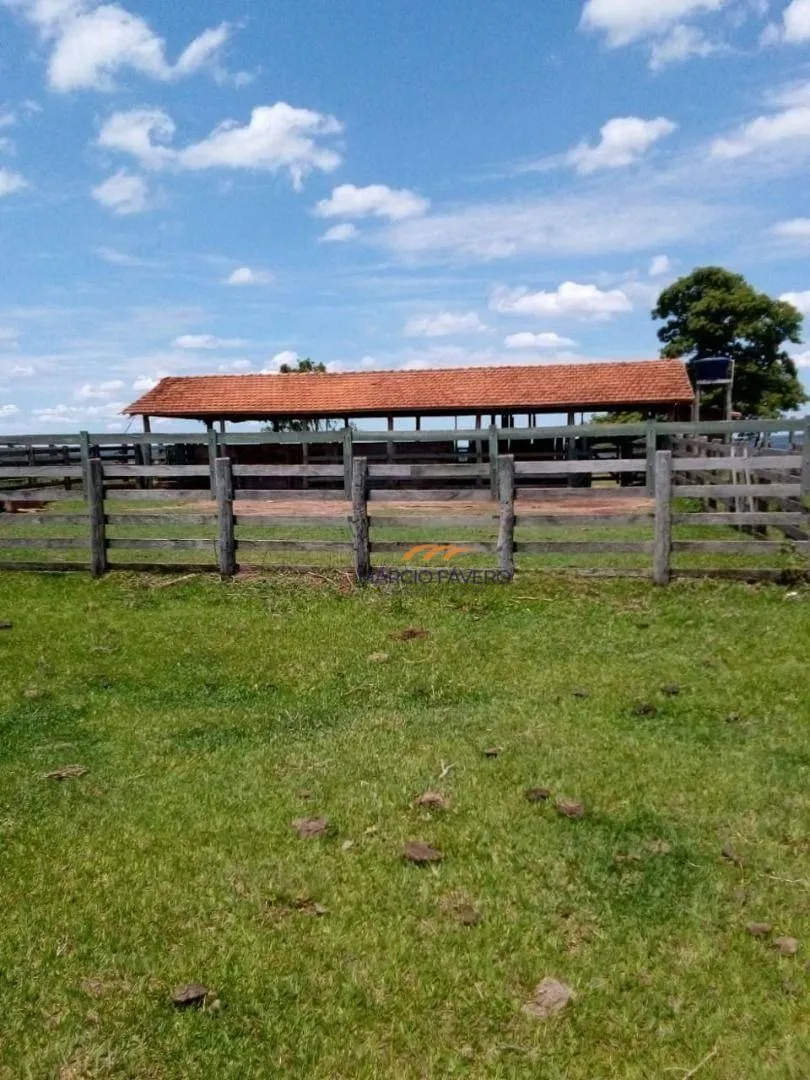 Farm for sale of 1,543 acres in Ubirajara, SP, Brazil