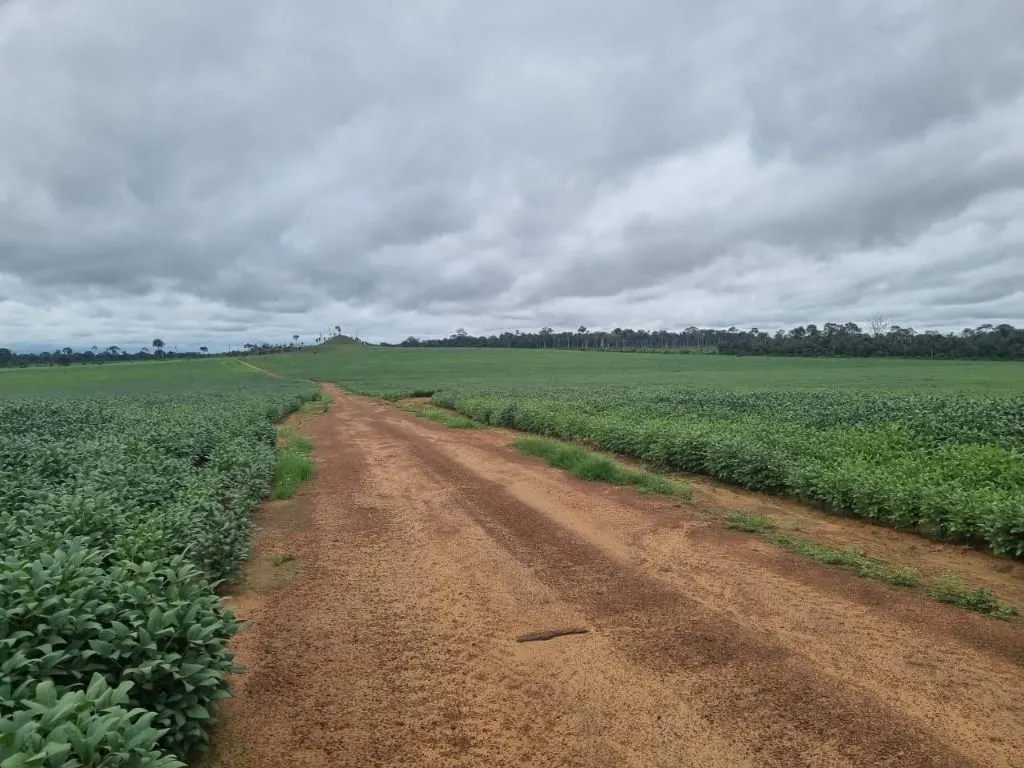 Farm for sale of 2,298 acres in Porto Velho, RO, Brazil