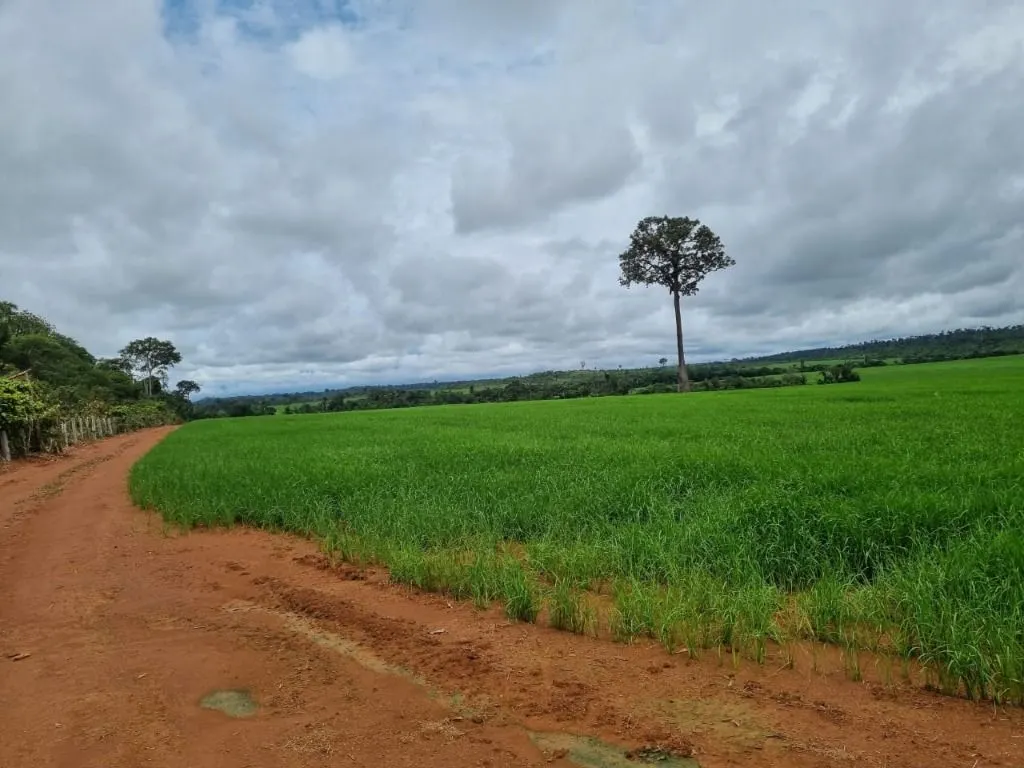 Farm for sale of 2,298 acres in Porto Velho, RO, Brazil
