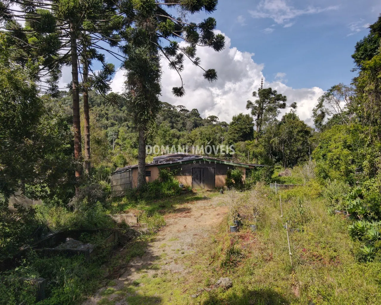Terreno à venda de 5.350 m² em Campos do Jordão, SP, Brasil