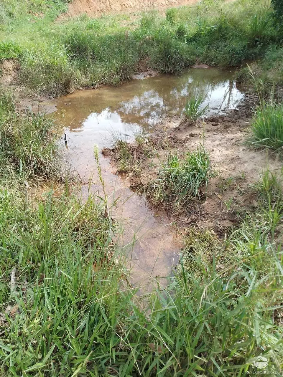 Fazenda à venda de 249 ha em Guaratinguetá, SP, Brasil