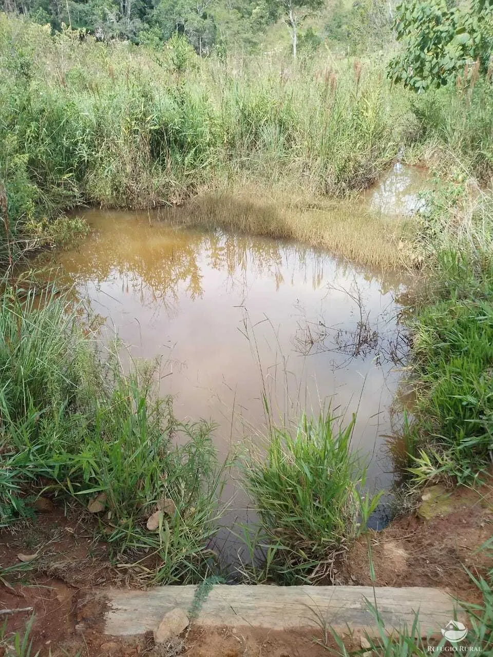 Fazenda à venda de 249 ha em Guaratinguetá, SP, Brasil