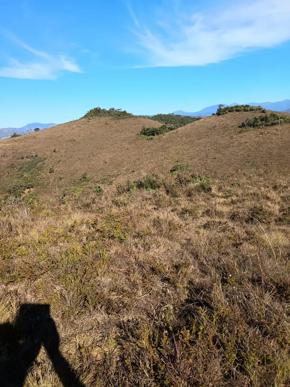 Terreno à venda de 20 ha em Alagoa, MG, Brasil