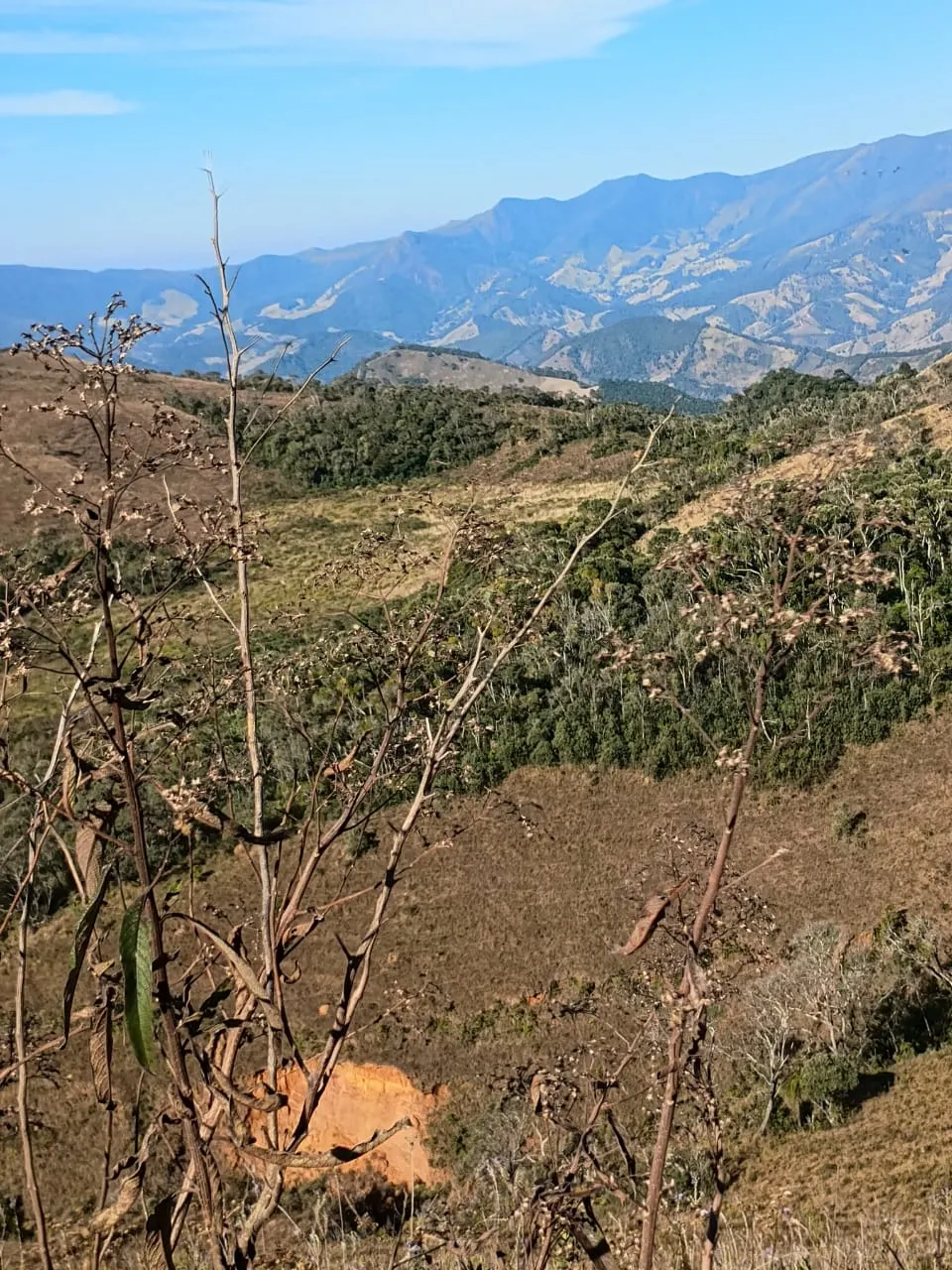 Terreno à venda de 20 ha em Alagoa, MG, Brasil
