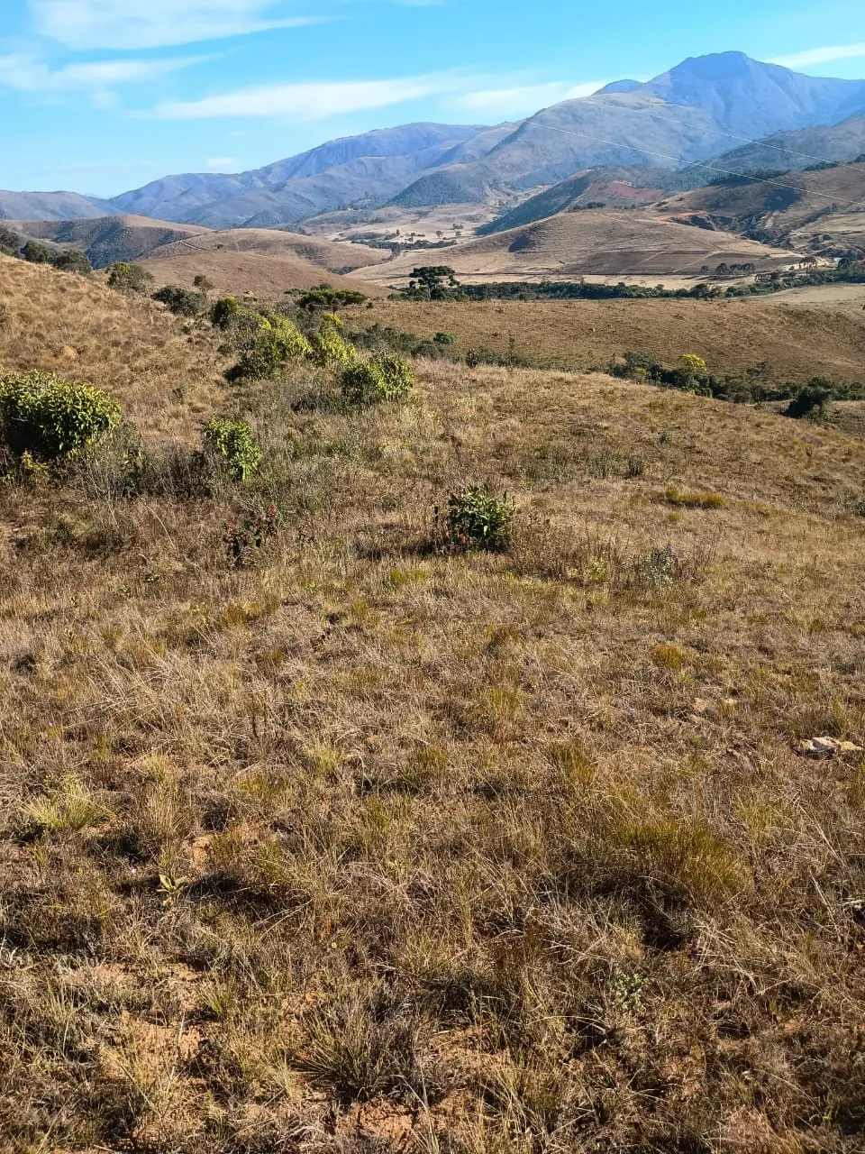 Terreno à venda de 20 ha em Alagoa, MG, Brasil
