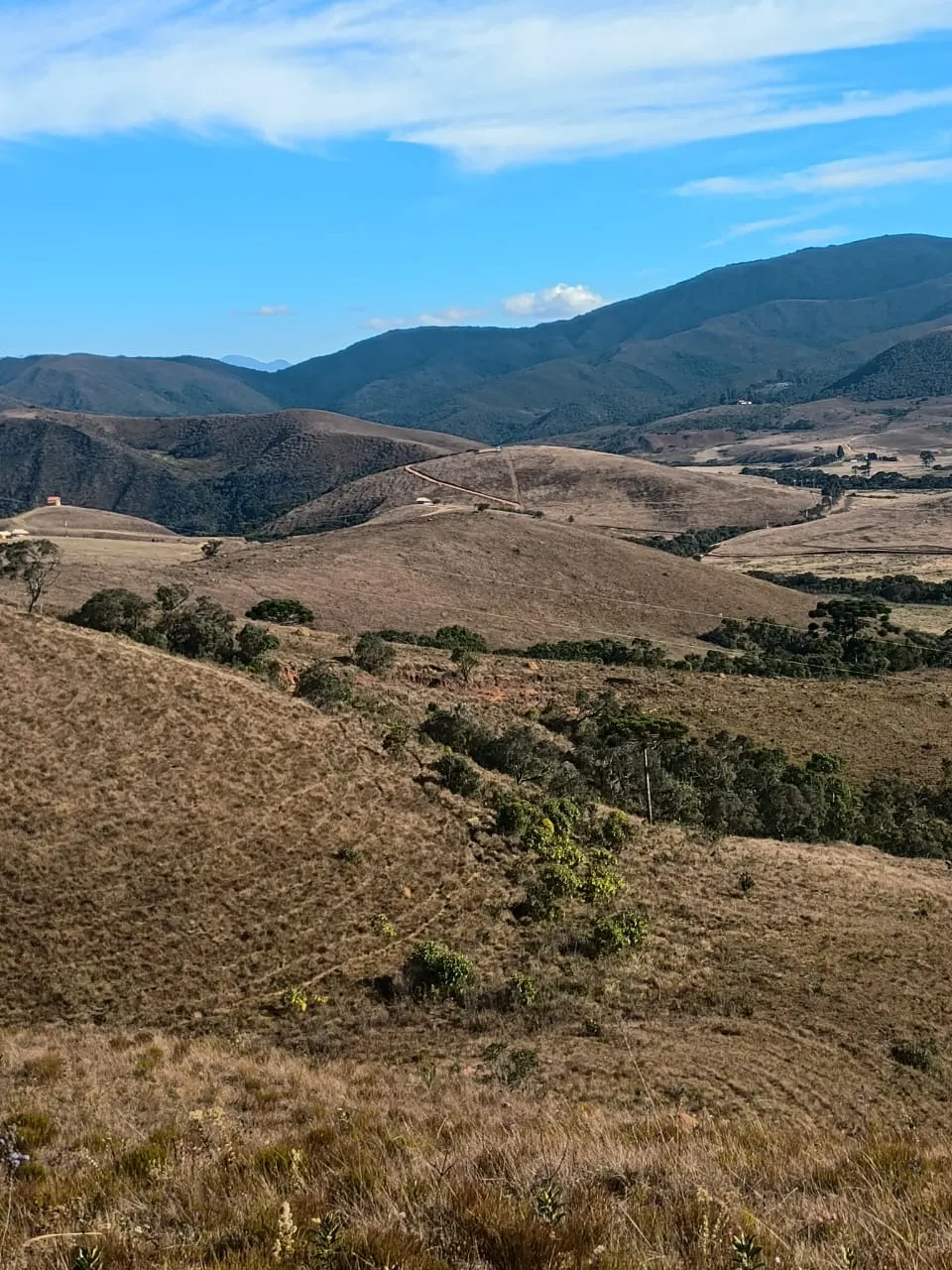 Terreno à venda de 20 ha em Alagoa, MG, Brasil