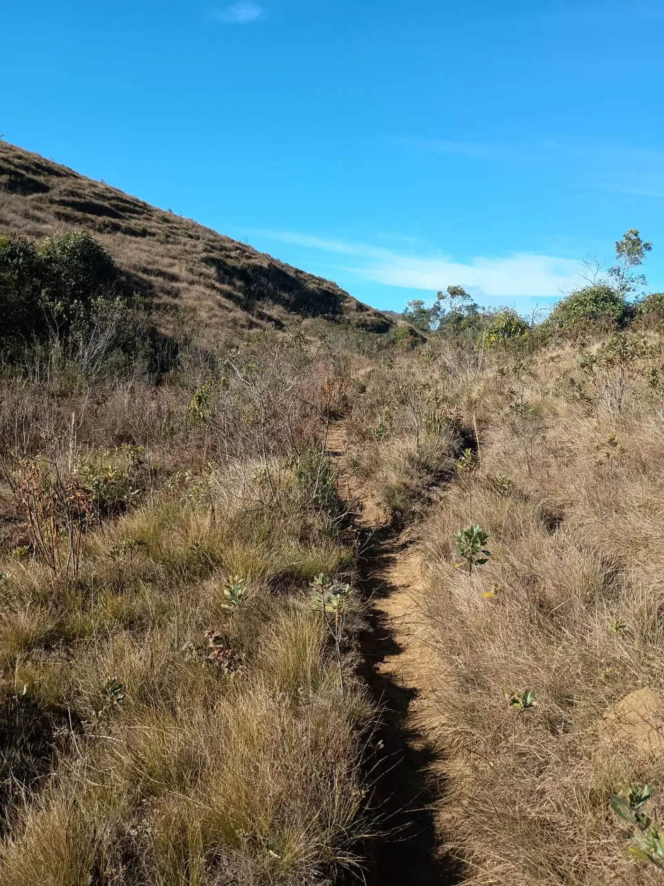 Terreno à venda de 20 ha em Alagoa, MG, Brasil