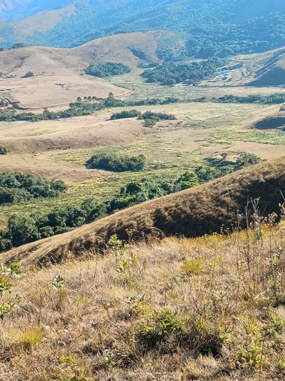 Terreno à venda de 20 ha em Alagoa, MG, Brasil