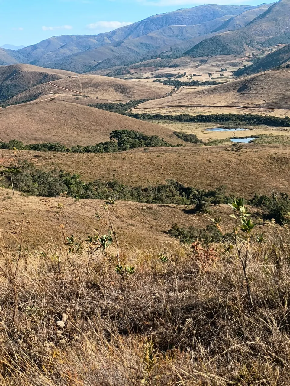 Terreno à venda de 20 ha em Alagoa, MG, Brasil