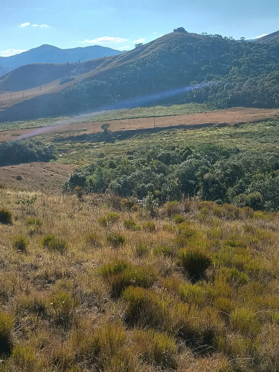 Terreno à venda de 20 ha em Alagoa, MG, Brasil