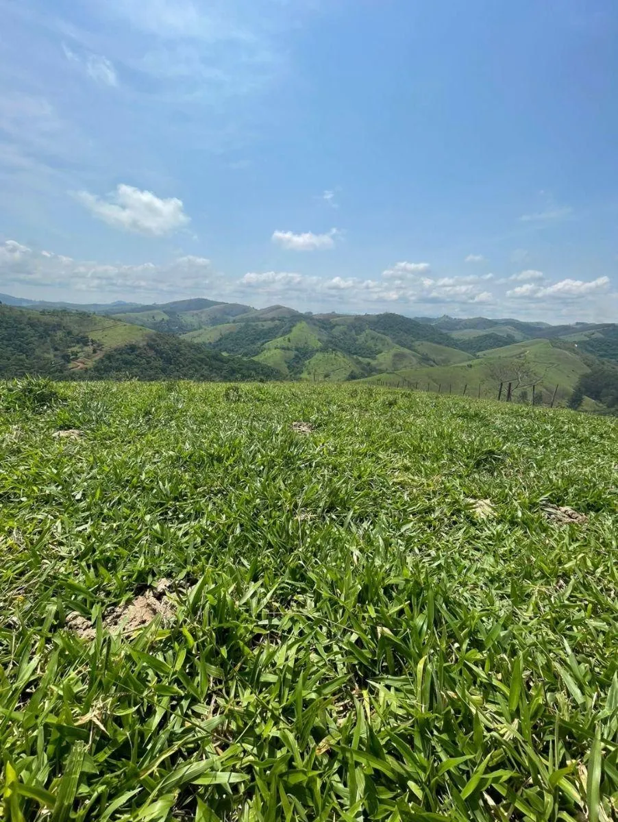 Fazenda à venda de 687 ha em Taubaté, SP, Brasil