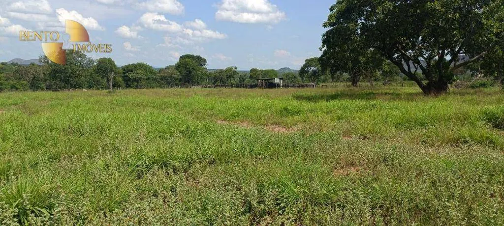 Fazenda à venda de 912 ha em Tesouro, MT, Brasil