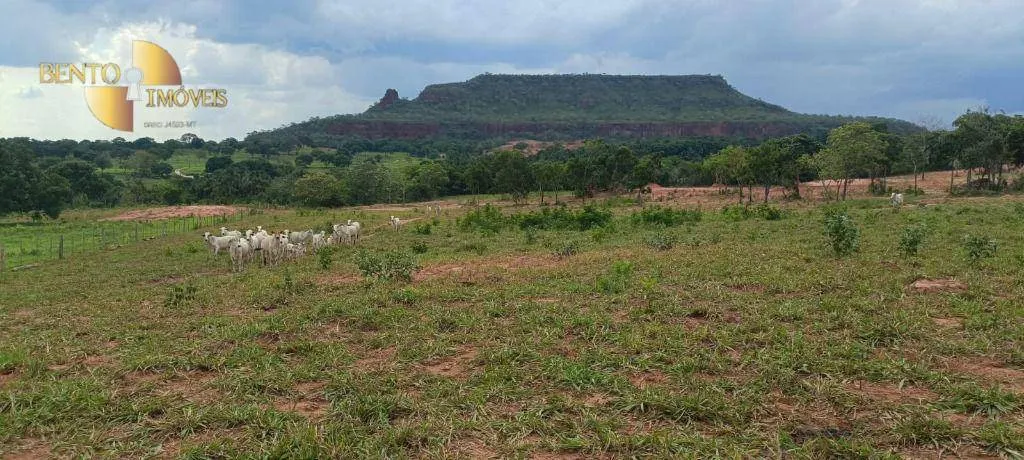Fazenda à venda de 912 ha em Tesouro, MT, Brasil