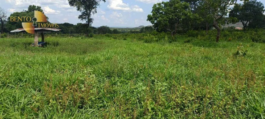 Fazenda à venda de 912 ha em Tesouro, MT, Brasil