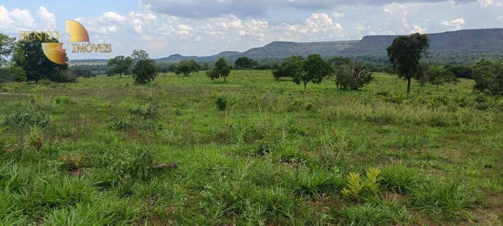 Fazenda à venda de 912 ha em Tesouro, MT, Brasil