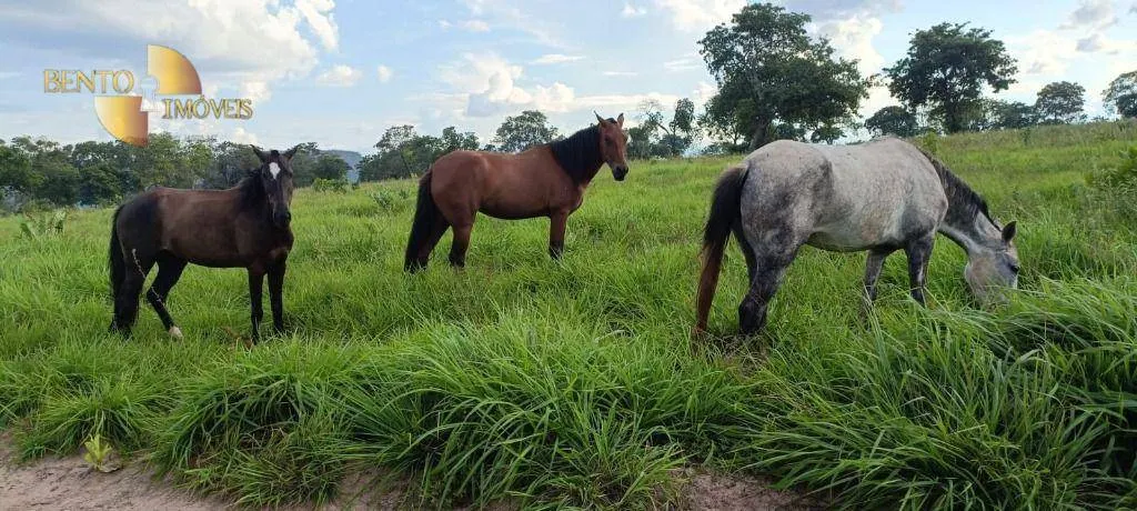Fazenda à venda de 912 ha em Tesouro, MT, Brasil