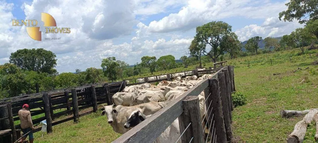 Fazenda à venda de 912 ha em Tesouro, MT, Brasil