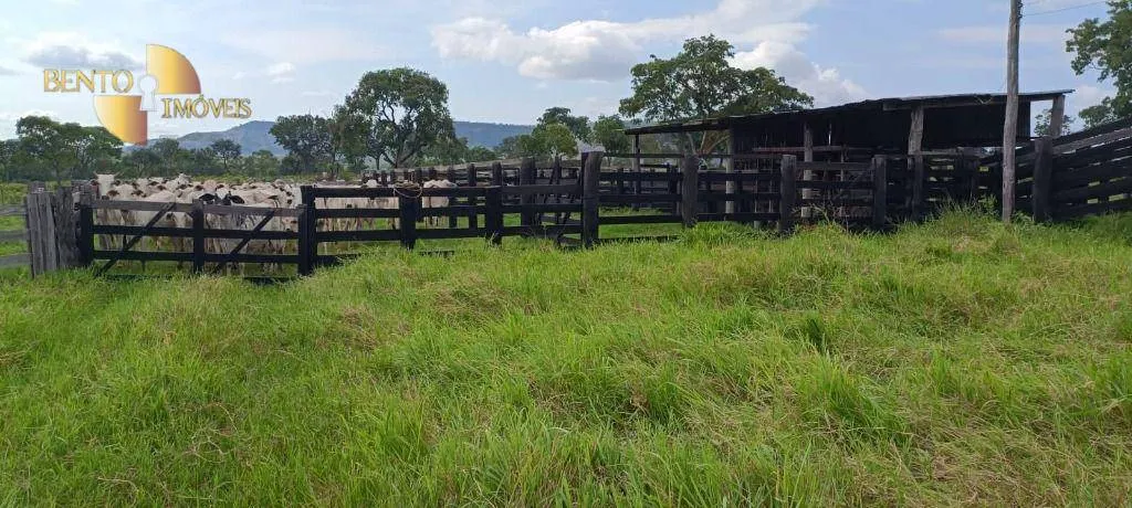 Fazenda à venda de 912 ha em Tesouro, MT, Brasil