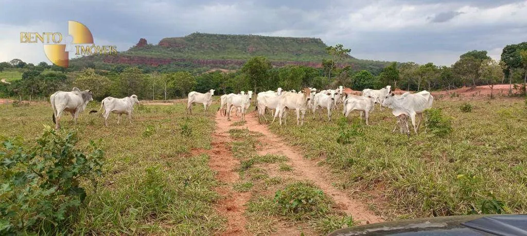 Fazenda à venda de 912 ha em Tesouro, MT, Brasil