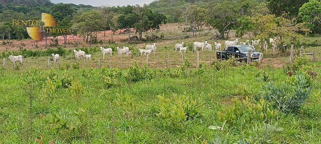 Fazenda à venda de 912 ha em Tesouro, MT, Brasil