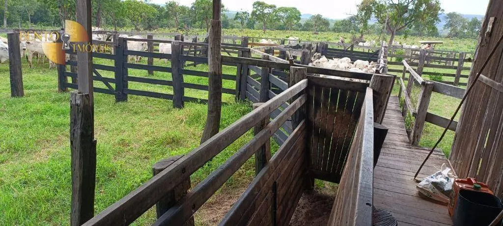 Fazenda à venda de 912 ha em Tesouro, MT, Brasil