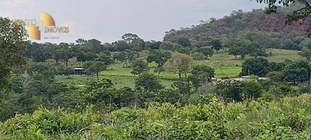 Fazenda à venda de 912 ha em Tesouro, MT, Brasil