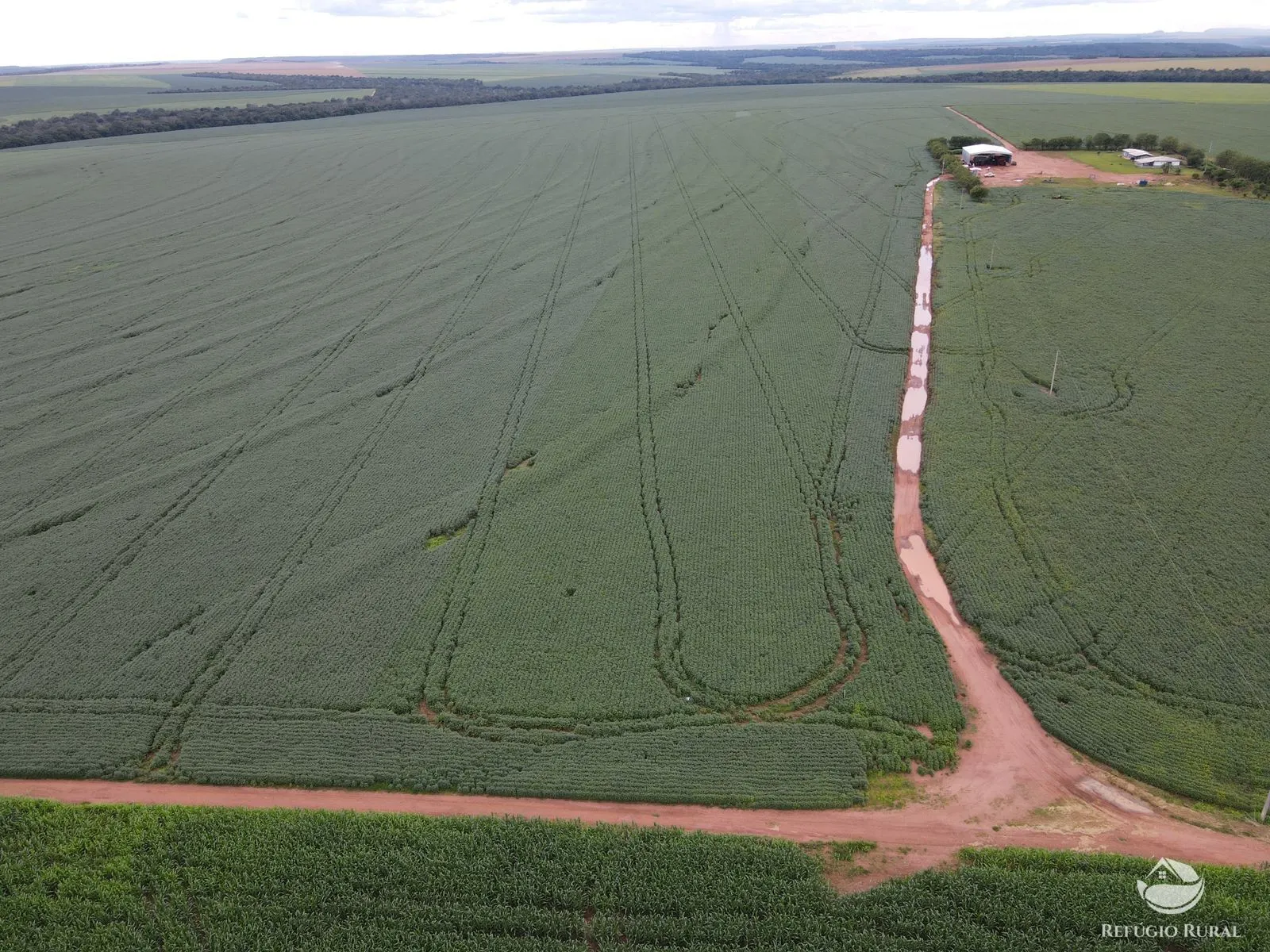 Farm for sale of 2,120 acres in Primavera do Leste, MT, Brazil