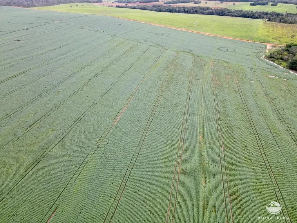Farm for sale of 2,120 acres in Primavera do Leste, MT, Brazil