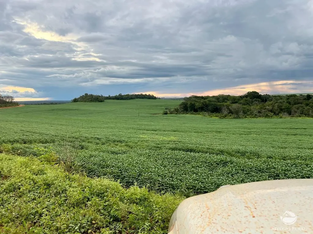 Farm for sale of 2,120 acres in Primavera do Leste, MT, Brazil
