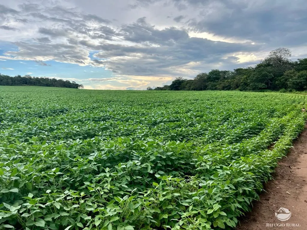 Farm for sale of 2,120 acres in Primavera do Leste, MT, Brazil
