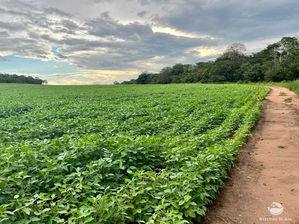 Farm for sale of 2,120 acres in Primavera do Leste, MT, Brazil