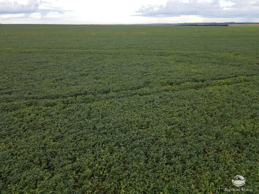 Farm for sale of 2,120 acres in Primavera do Leste, MT, Brazil