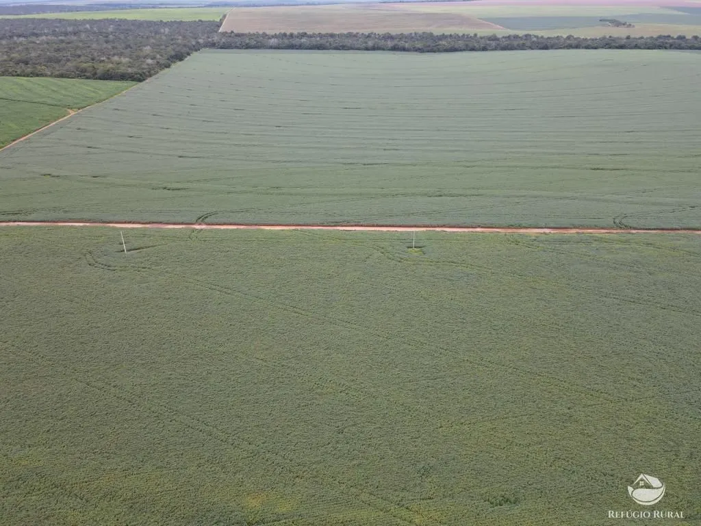 Farm for sale of 2,120 acres in Primavera do Leste, MT, Brazil