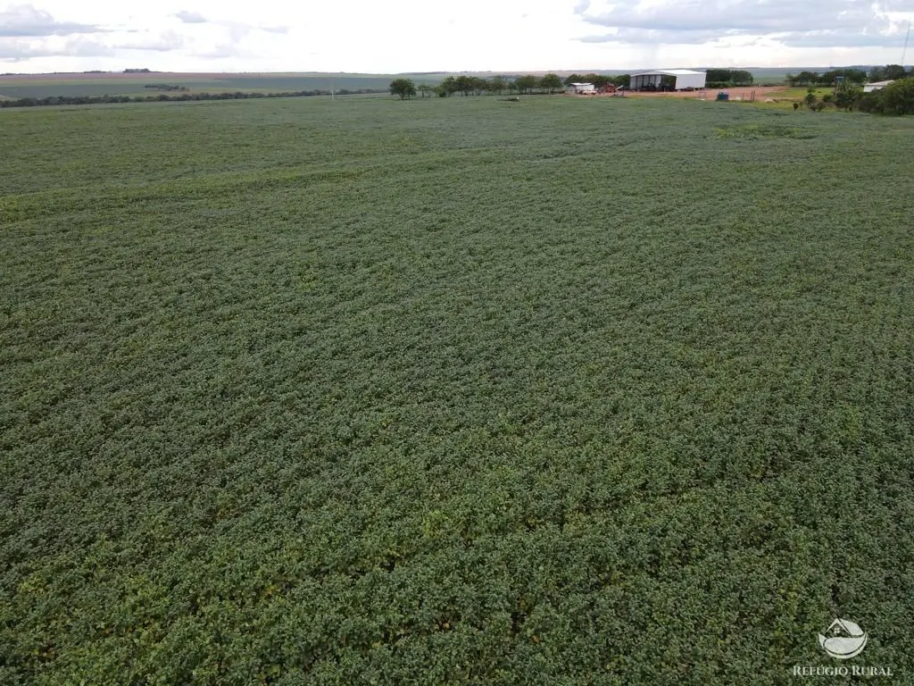 Farm for sale of 2,120 acres in Primavera do Leste, MT, Brazil