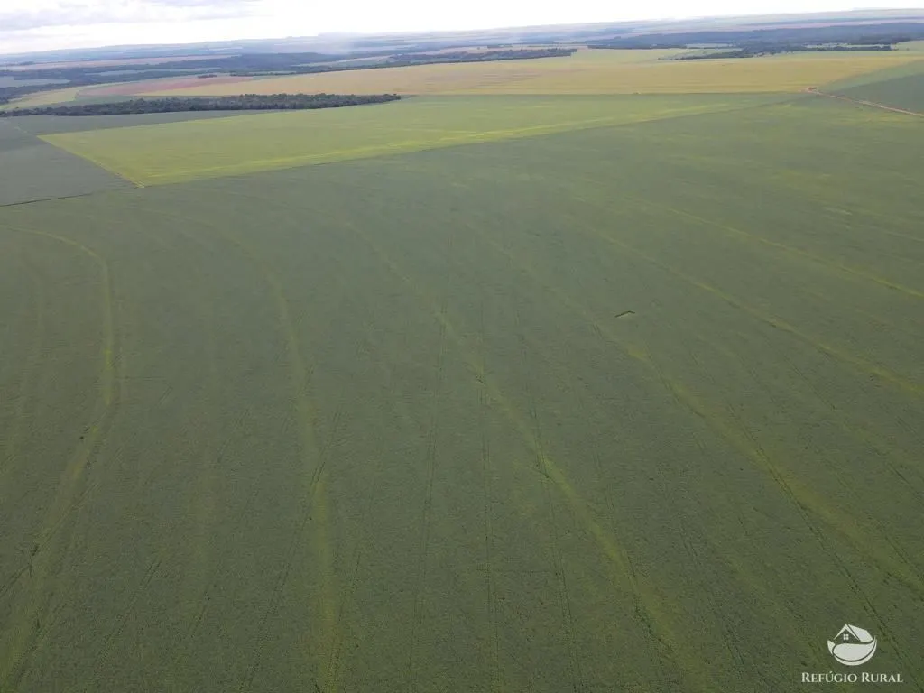 Farm for sale of 2,120 acres in Primavera do Leste, MT, Brazil