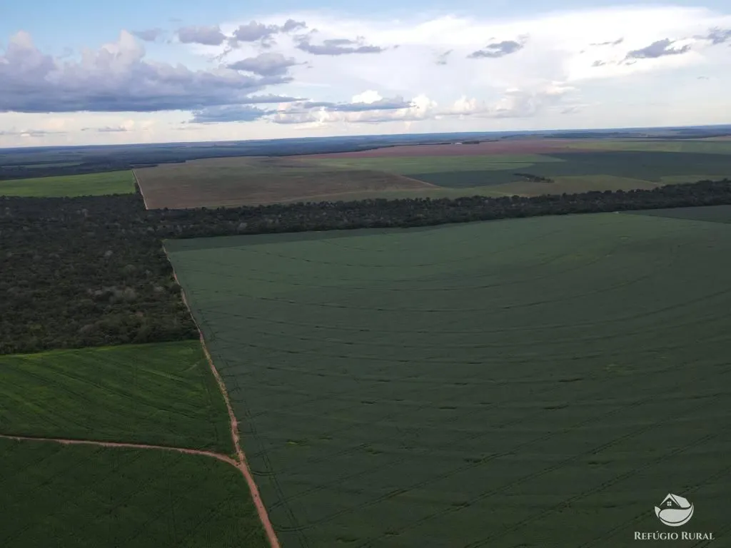 Farm for sale of 2,120 acres in Primavera do Leste, MT, Brazil