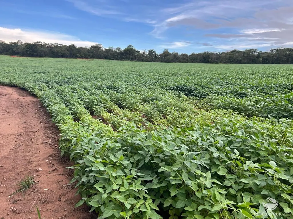 Farm for sale of 2,120 acres in Primavera do Leste, MT, Brazil