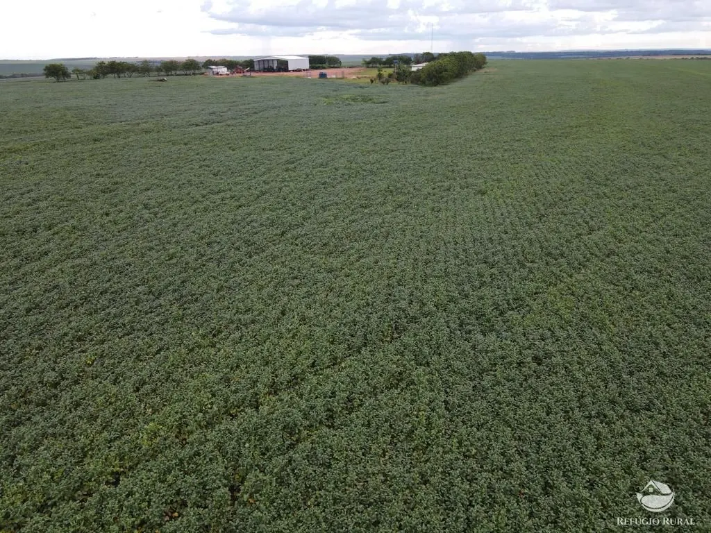 Farm for sale of 2,120 acres in Primavera do Leste, MT, Brazil