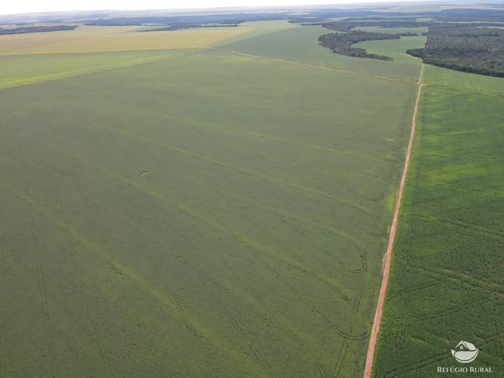 Farm for sale of 2,120 acres in Primavera do Leste, MT, Brazil