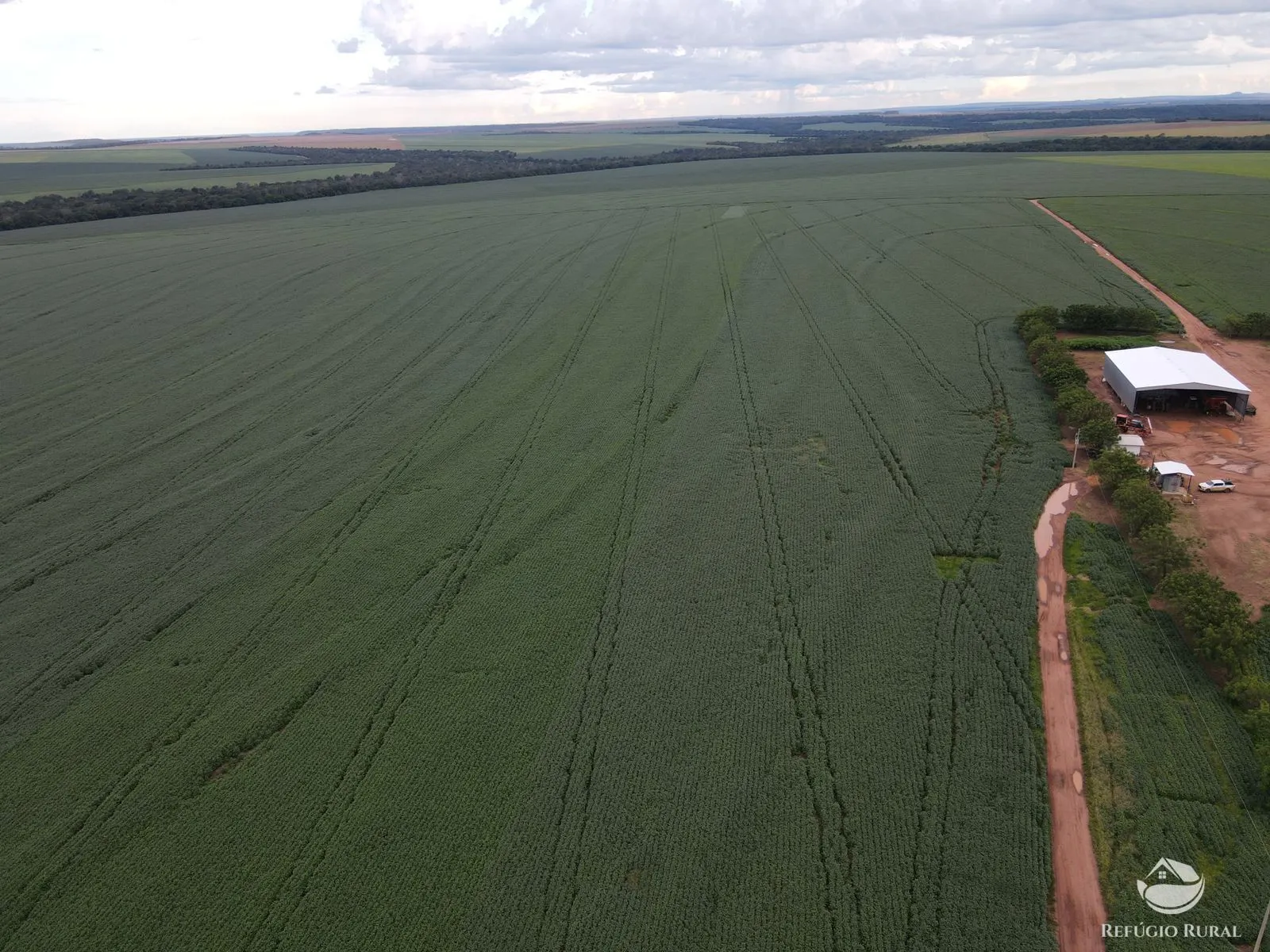 Farm for sale of 2,120 acres in Primavera do Leste, MT, Brazil