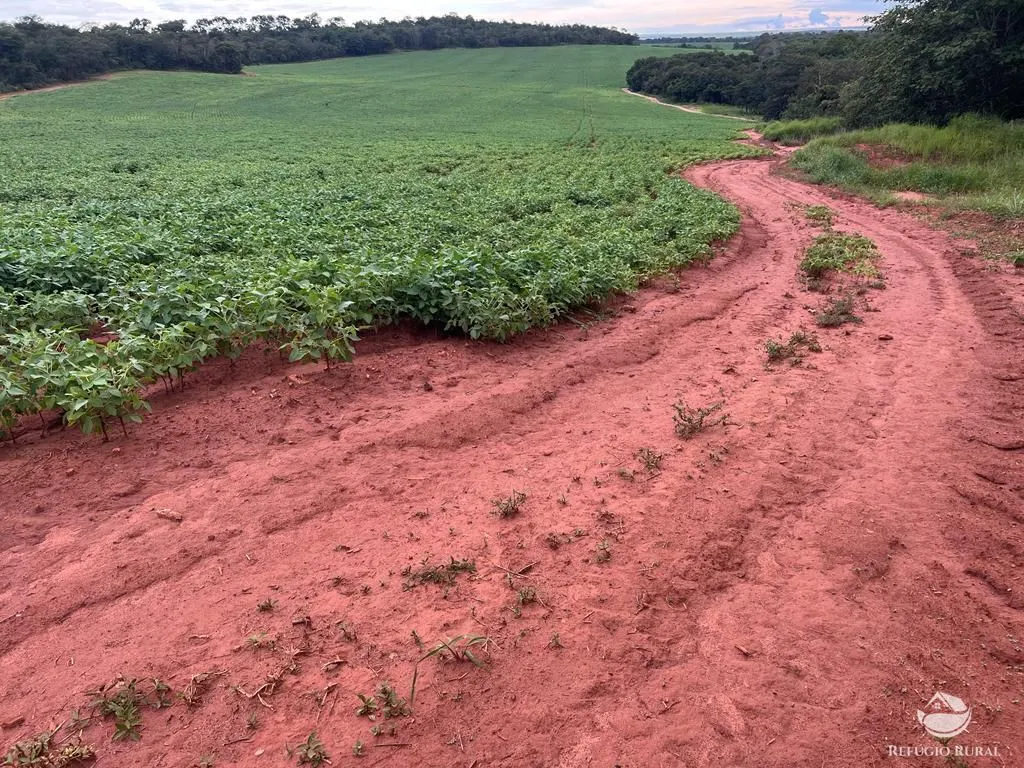 Farm for sale of 2,120 acres in Primavera do Leste, MT, Brazil