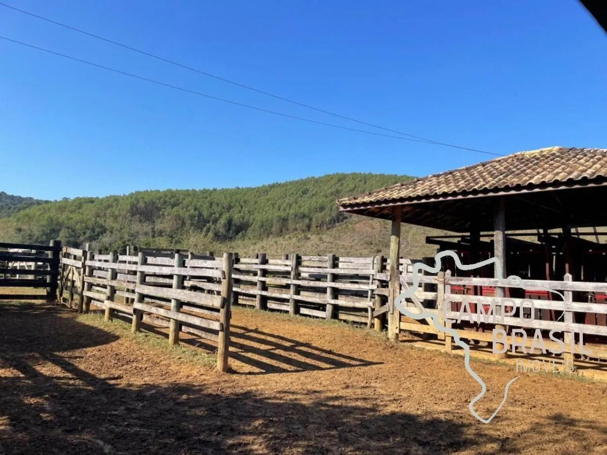 Fazenda à venda de 96 ha em Lagoinha, SP, Brasil