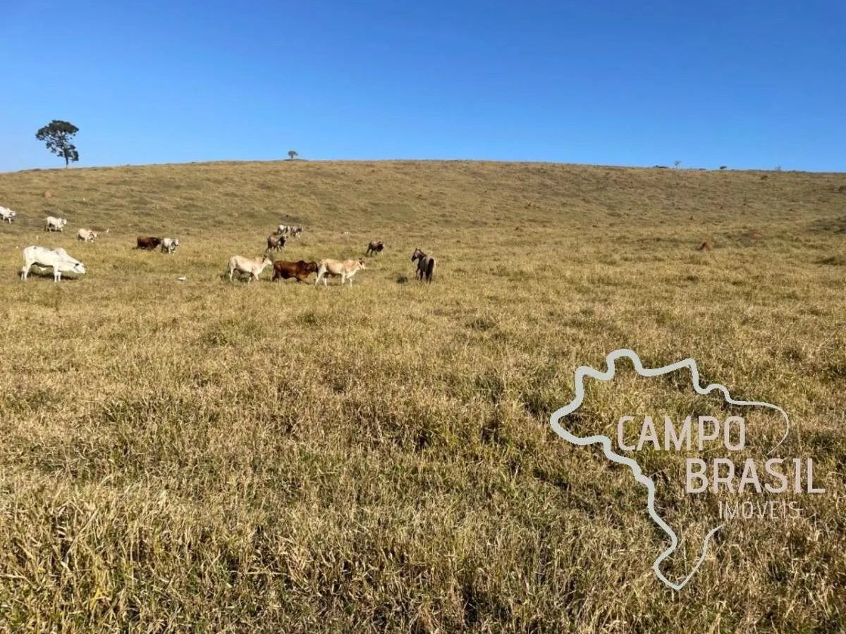 Fazenda à venda de 96 ha em Lagoinha, SP, Brasil