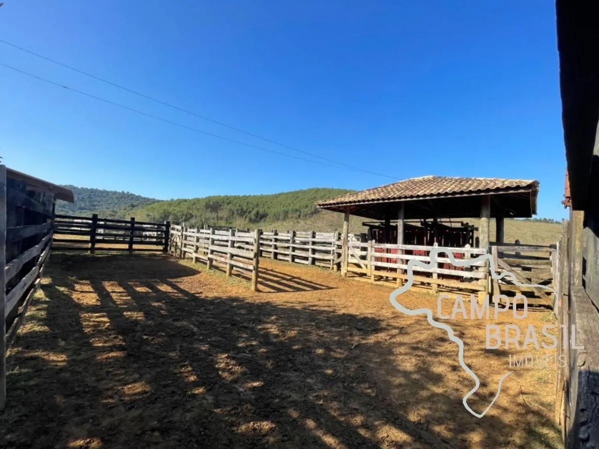 Fazenda à venda de 96 ha em Lagoinha, SP, Brasil